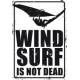 PLAQUE WINDSURF IS NOT DEAD