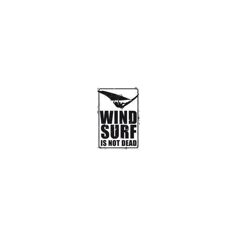 PLAQUE WINDSURF IS NOT DEAD