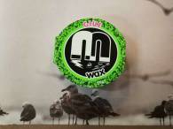 Magnet surf Wax