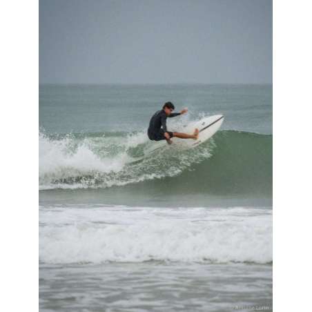 NOMADS Surf Fish BALER