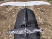 Takuma Efoil full set CRUISING