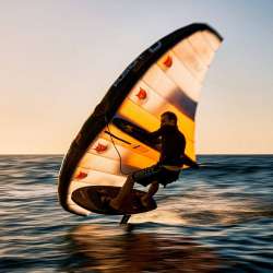 AILE DE WING OZONE FUSION v1 2024