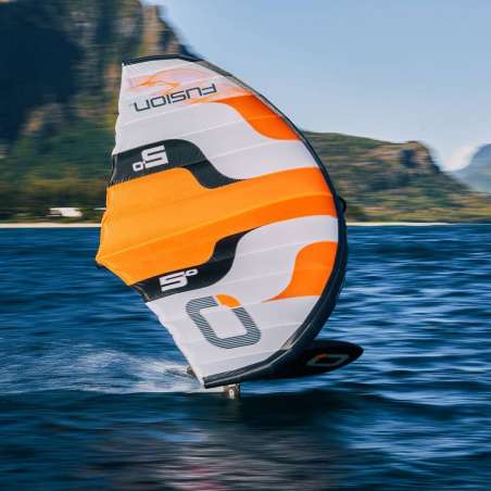 AILE DE WING OZONE FUSION v1 2024