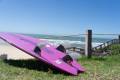 REEDIN SUPERWAVE2024
