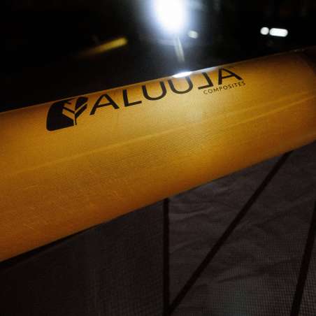 AILE DE WING F-ONE STRIKE V4 CWC 2024