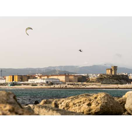 DUOTONE REBEL D/LAB 2025