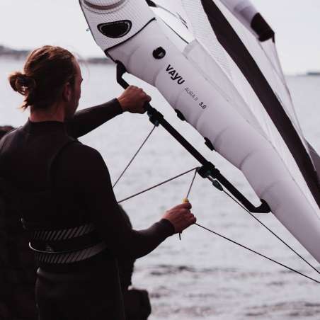 A3D ARTNESS PRO 2024