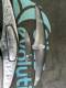 DUOTONE FOIL AERO GLIDE SLS ALU