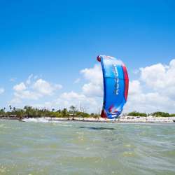 REEDIN HYPERMODEL 2025