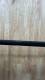 Occasion F One Strike V4 5m