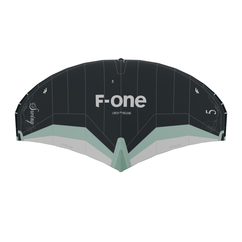 COLORIS MINT ONYX AILE DE WINGFOIL F-ONE SWING V5 2025