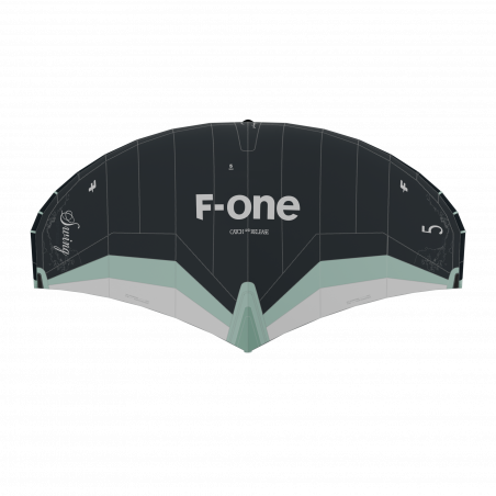 F-ONE SWING V5