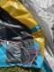 EVO D/LAB 2023 Aile de kite surf Duotone 
