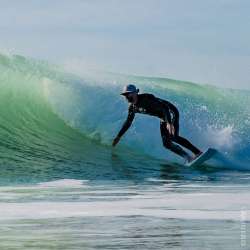 FORWARD WIP BOB BUMP SHELL GREY