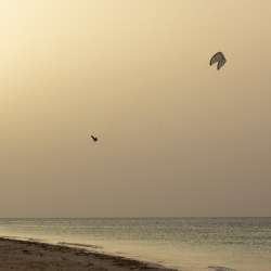 DUOTONE REBEL SLS 2026