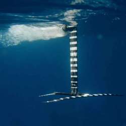 FOIL DRIVE X ARMSTRONG FOIL ASSIST INTEGRATED CARBON MAST 2025 - vue alternative 10