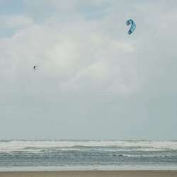 REEDIN MASTERMODEL 2026 - vue en action