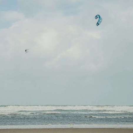 REEDIN MASTERMODEL 2026 - vue en action