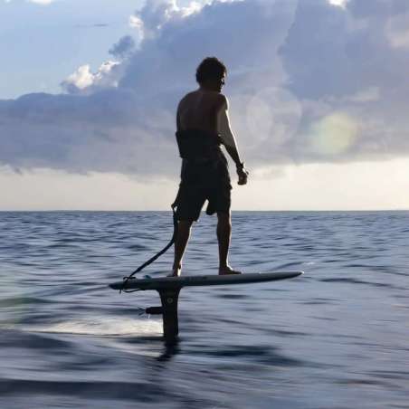 DUOTONE FOIL ASSIST MAST D/LAB SET COMPLET - détail produit