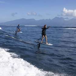 DUOTONE BEARING 2026 - vue en action