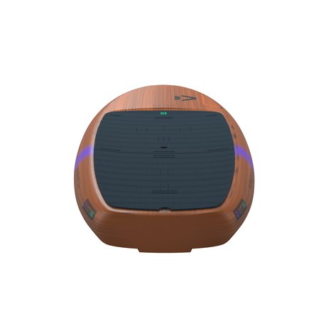 skyfree26_duotone_008