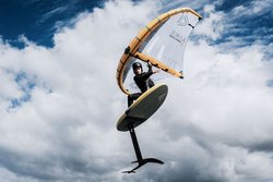 ION Wing Handle - en action