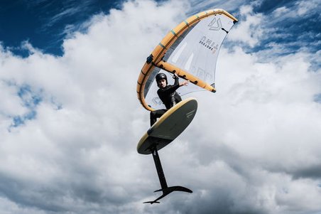 ION Wing Handle - en action