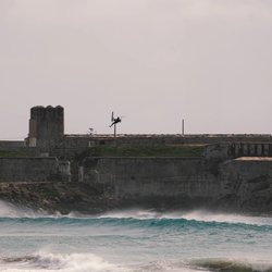 55163684959_9568bf3a6f_o