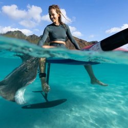 duotone_wing_foiling_foil-set-complete-al-qm-mono-