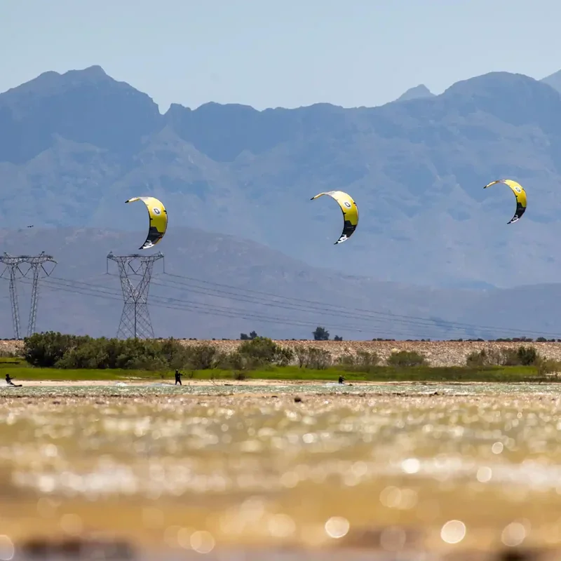 OZONE VORTEX V2 ULTRA-X