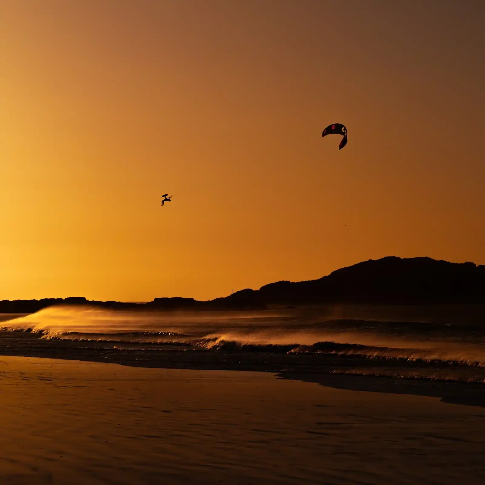 SLINGSHOT CODE NXT V2 2026