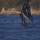 F-ONE STRIKE V5 : TEST ET AVIS